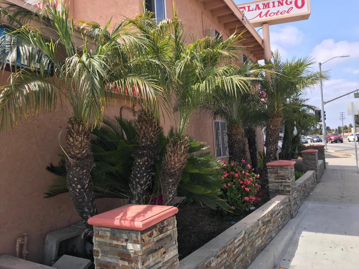 Flamingo Motel Oxnard Extérieur photo
